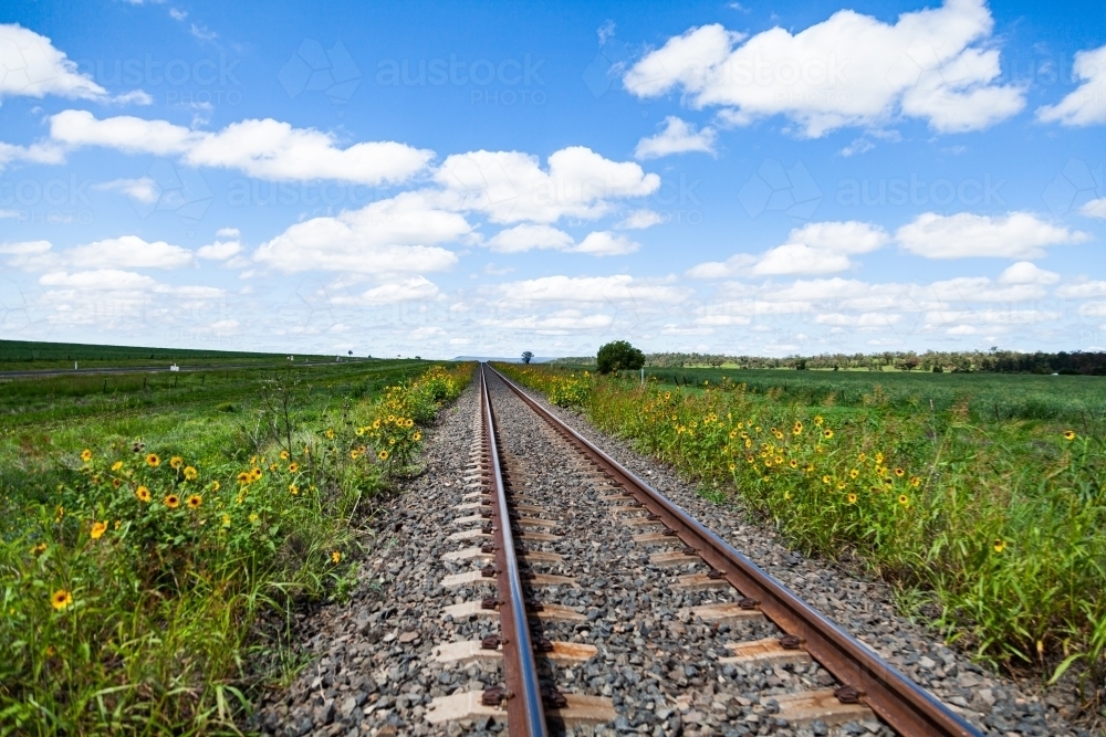 Looking down railway track lined with sunflowers and green to blue sky and clouds above - Australian Stock Image