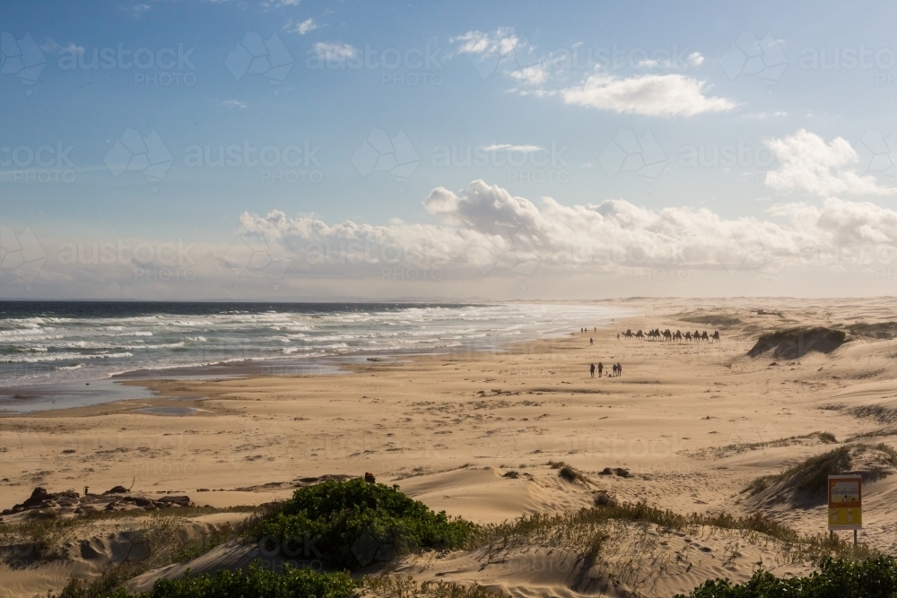 Image Of Looking Over Sand Dunes And Ocean At Stockton And Birubi Beach Anna Bay Port Stephens