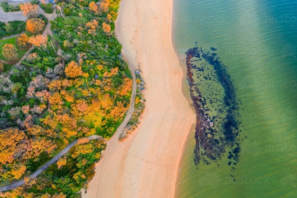 Looking straight down on a beach with coastal trails and a small rocky reef. - Australian Stock Image