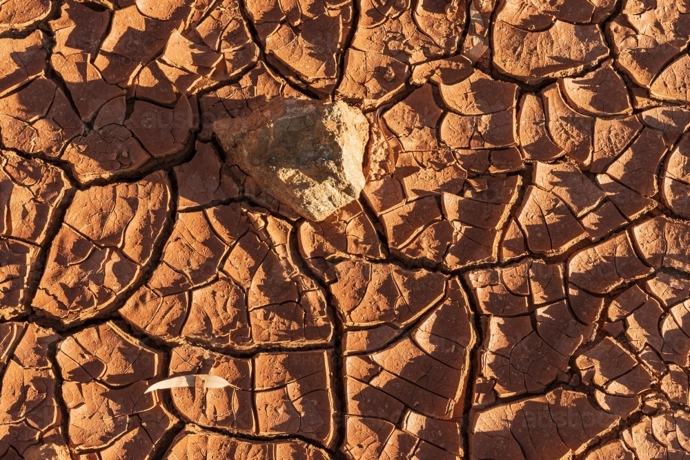 Looking straight down onto dry cracked red mud with a rock stuck in it - Australian Stock Image