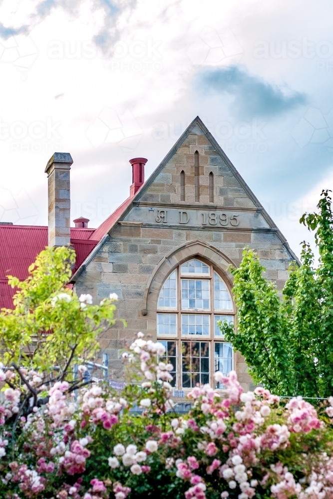 Looking through a rose bush to a large gabled sandstone building with an arched window - Australian Stock Image