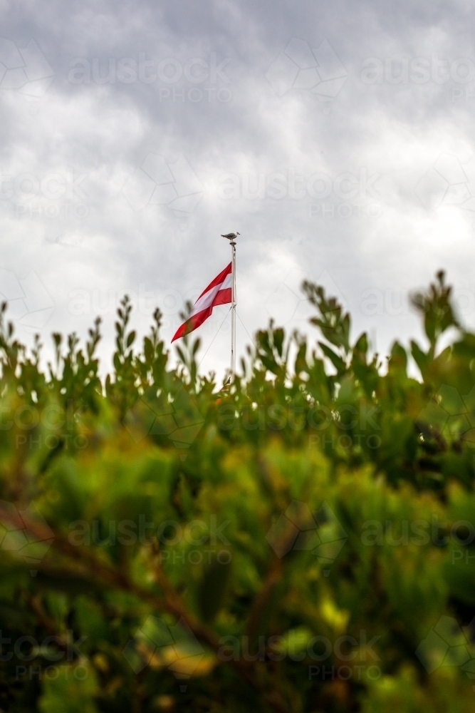 Looking through beach shrubs to a beach house and flag pole - Australian Stock Image