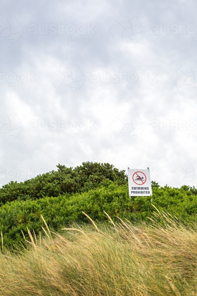 Looking through dune grass to a no swimming beach sign - Australian Stock Image