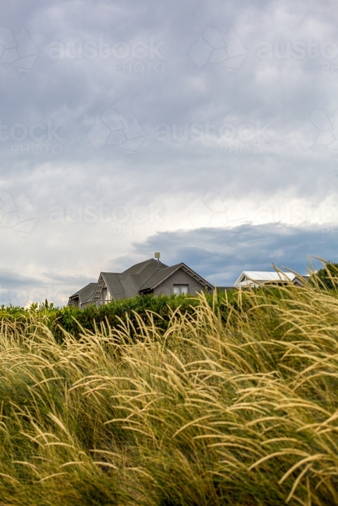 Looking through dune grass to a suburban house - Australian Stock Image