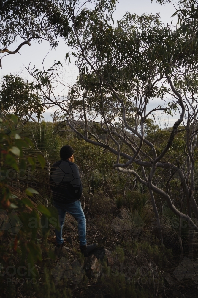 looking through the scrub - Australian Stock Image