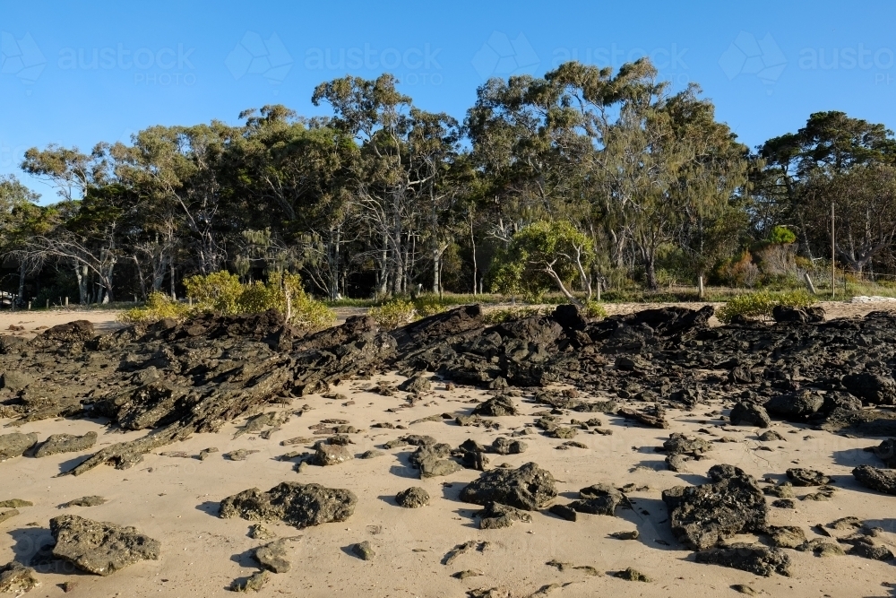 Looking towards the bush from Norfolk Beach - Australian Stock Image