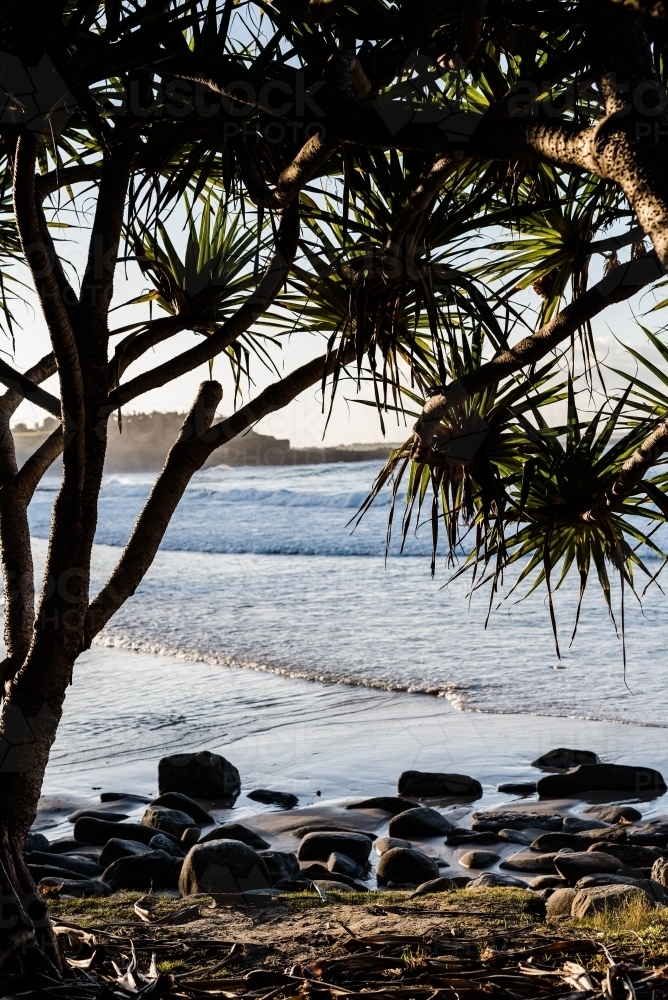 Looking under tree canopy to beach - Australian Stock Image