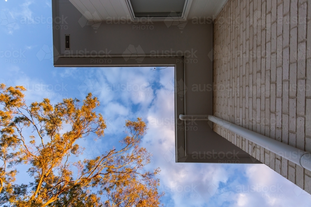 looking up at the eaves of a house and a gum tree - Australian Stock Image