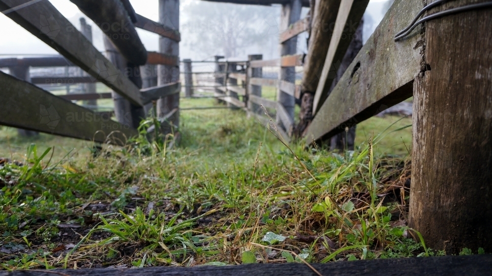 Low angle view of cattle stockyard - Australian Stock Image