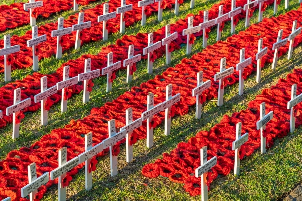 Low angled view of rows of crocheted red poppies and white crosses on a patch of green grass - Australian Stock Image