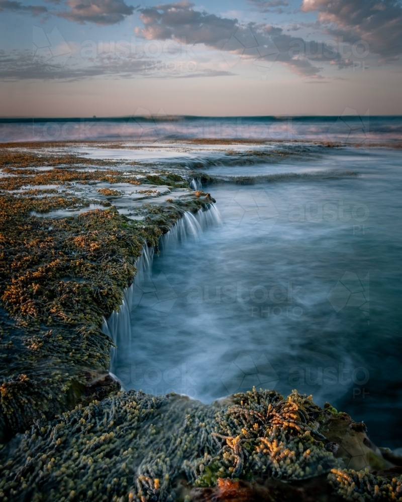 Low Tide Rock Pools and Seaweed Being Hit by Waves at Sunrise - Australian Stock Image