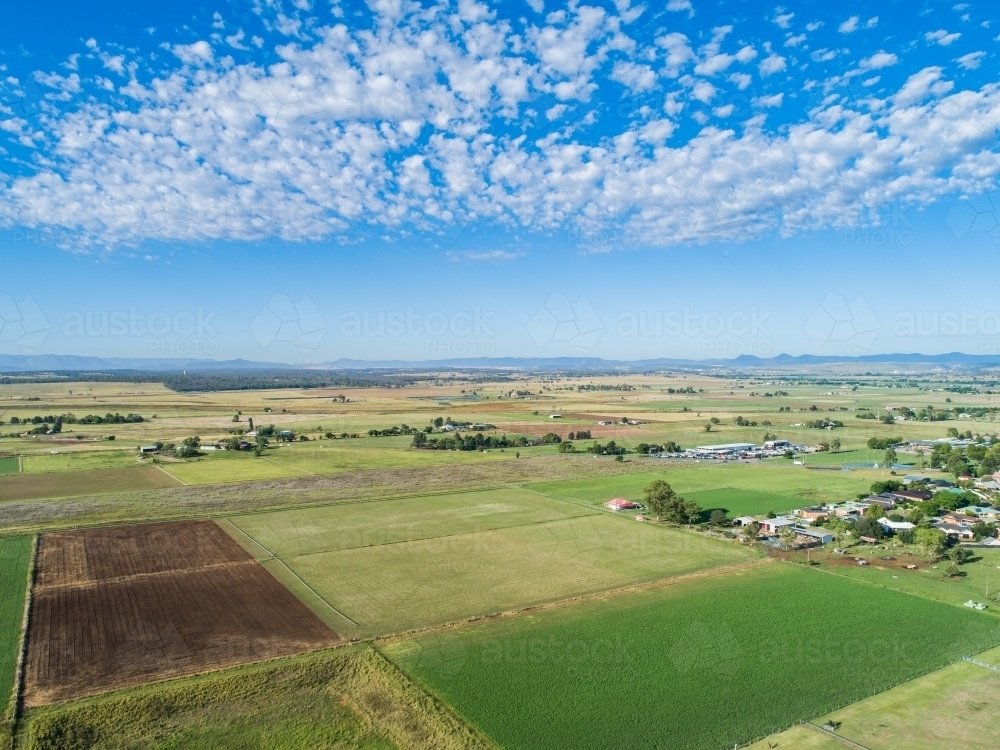 Lush green farm paddocks at the edge of town in NSW Australia - Australian Stock Image