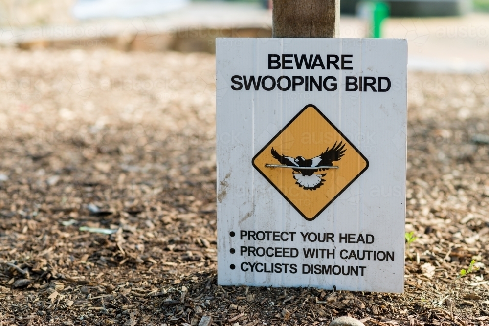 magpie warning sign - Australian Stock Image