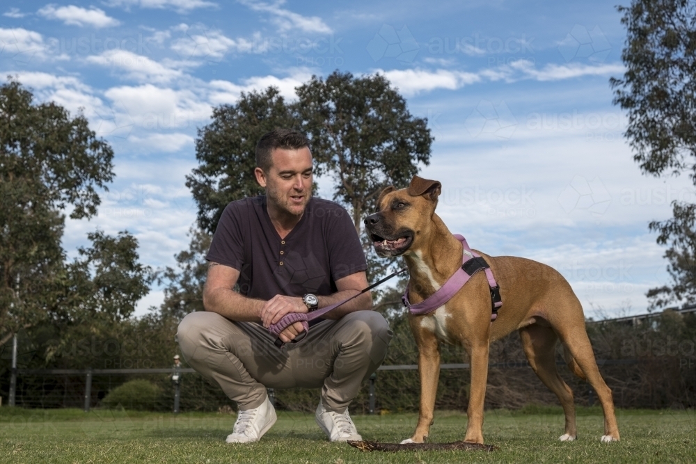 Man and Crossbreed Dog Squatting in Park - Australian Stock Image