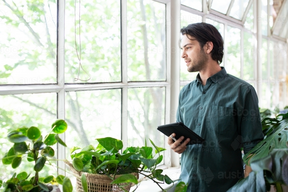 Man looking through paned glass windows in naturally lit studio - Australian Stock Image