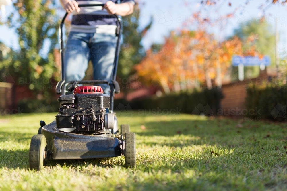 man mowing the lawn in autumn - Australian Stock Image