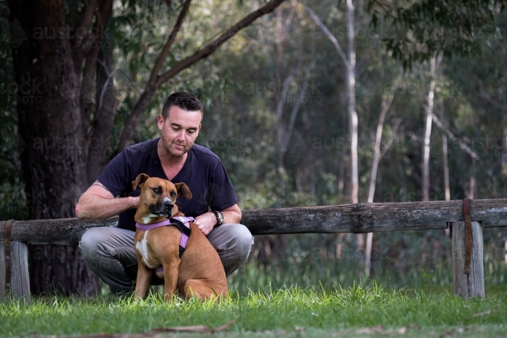 Man sitting behind large crossbreed dog patting dog - Australian Stock Image