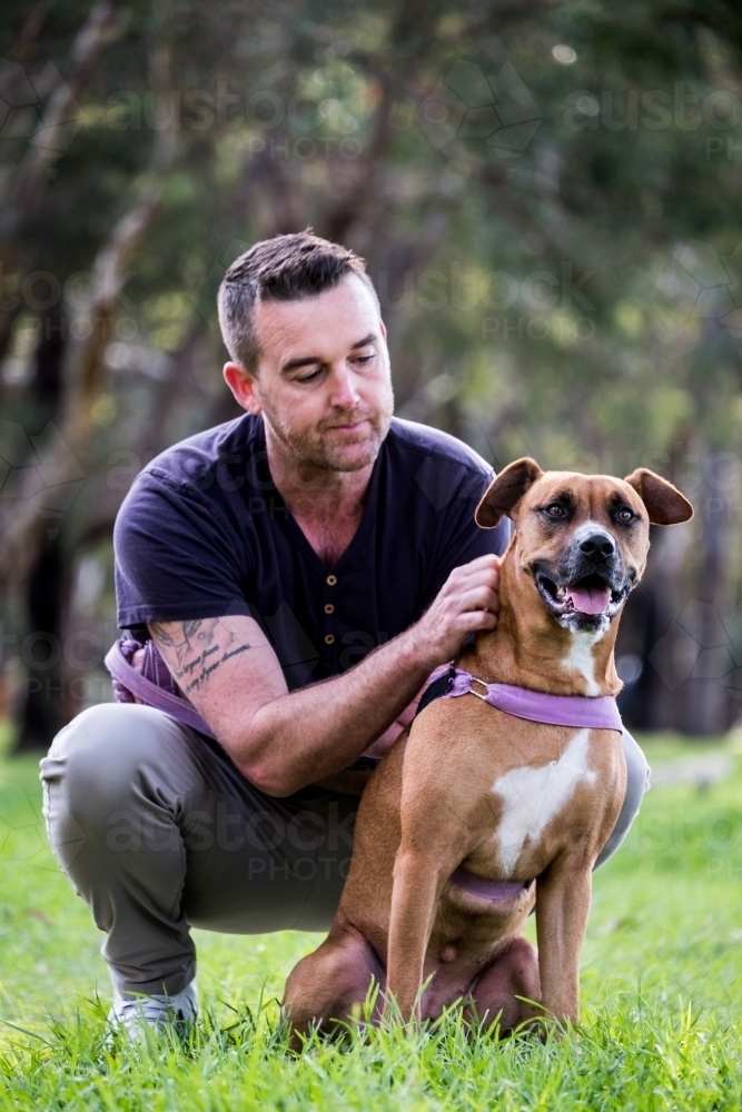 Man sitting behind large crossbreed dog patting dog - Australian Stock Image