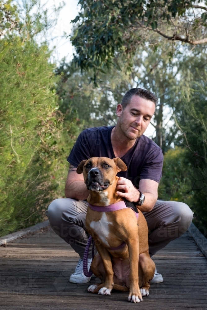 Man sitting behind large crossbreed dog patting dog - Australian Stock Image