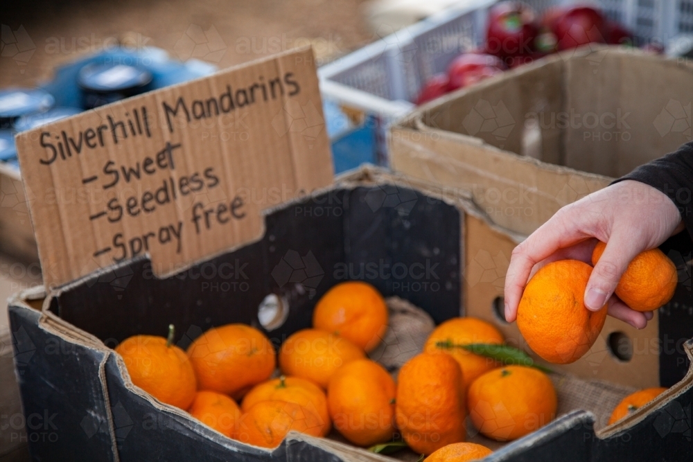 Mandarins for sale at roadside farmers market stall - Australian Stock Image