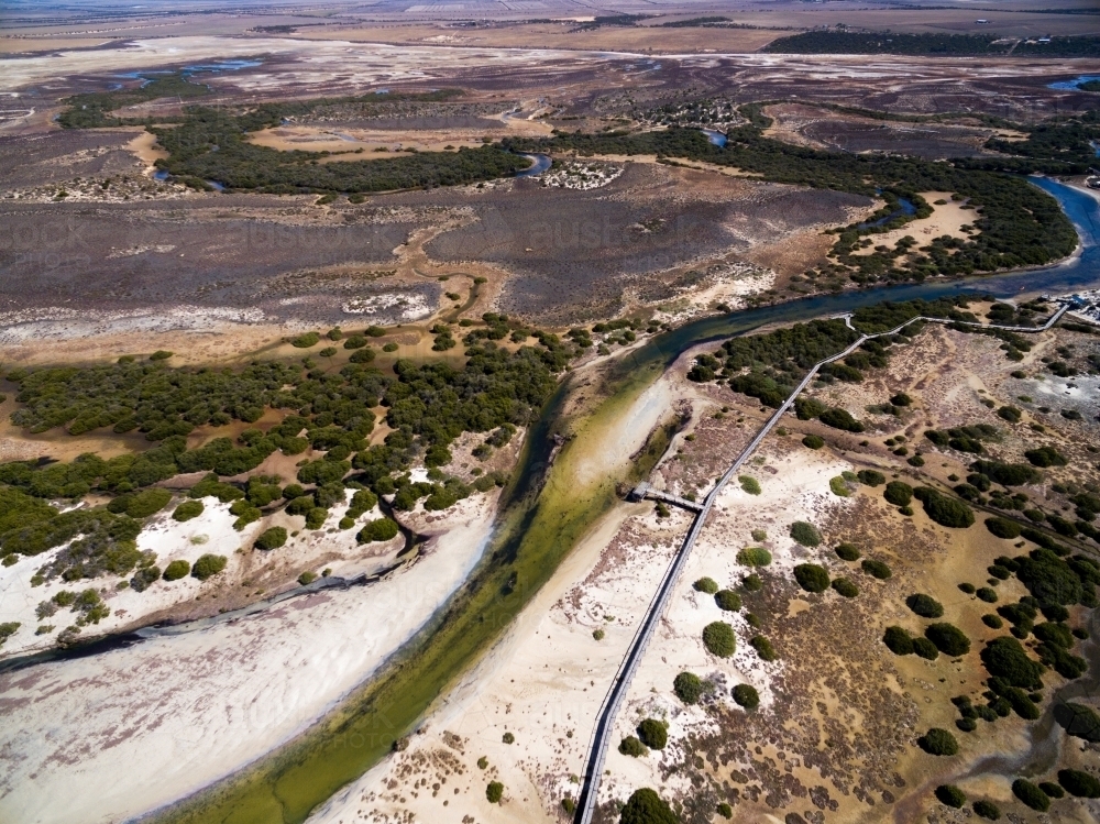 Mangroves on tidal estuary - Australian Stock Image