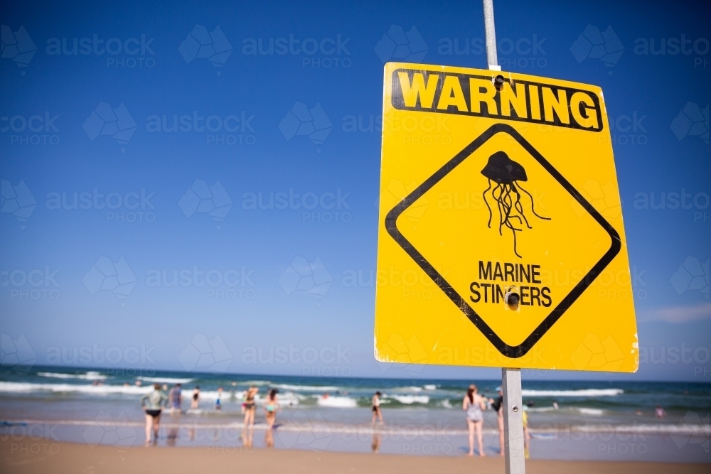 Image of marine stinger warning sign at the beach - Austockphoto