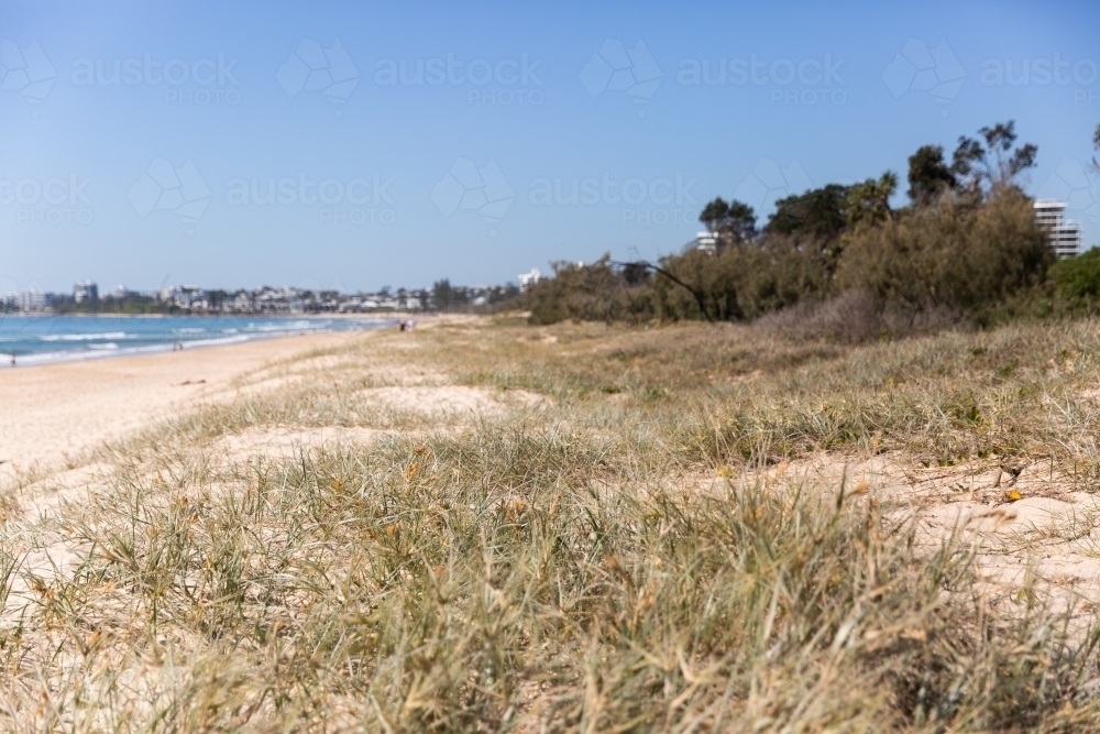 Maroochydore beach sand dunes and dune grass - Australian Stock Image