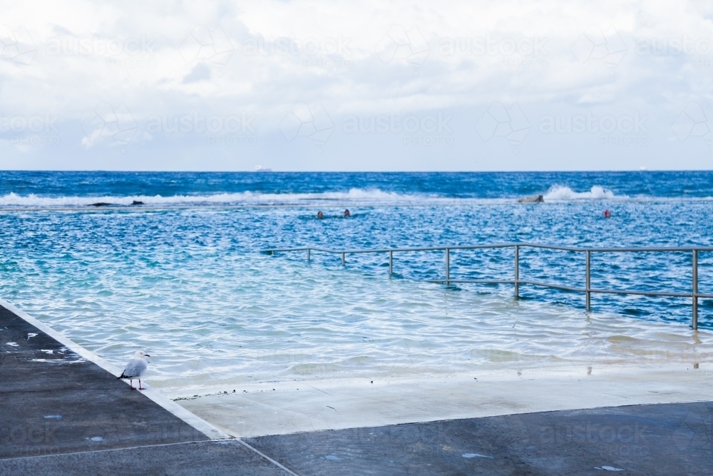 Merewether ocean pool ramp with seagull - Australian Stock Image