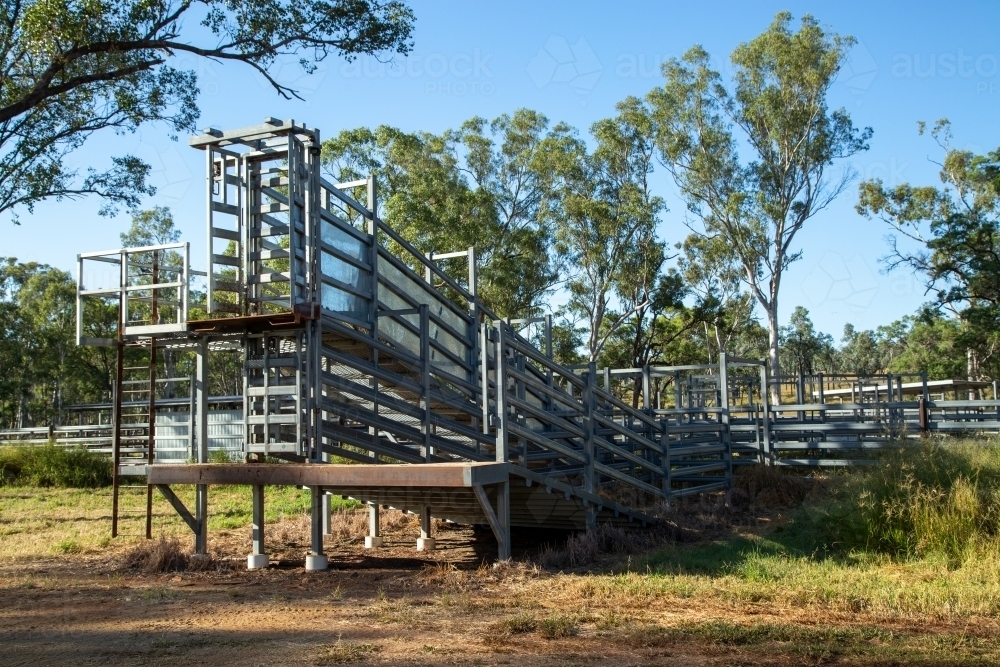 Metal loading ramp at cattle yards. - Australian Stock Image