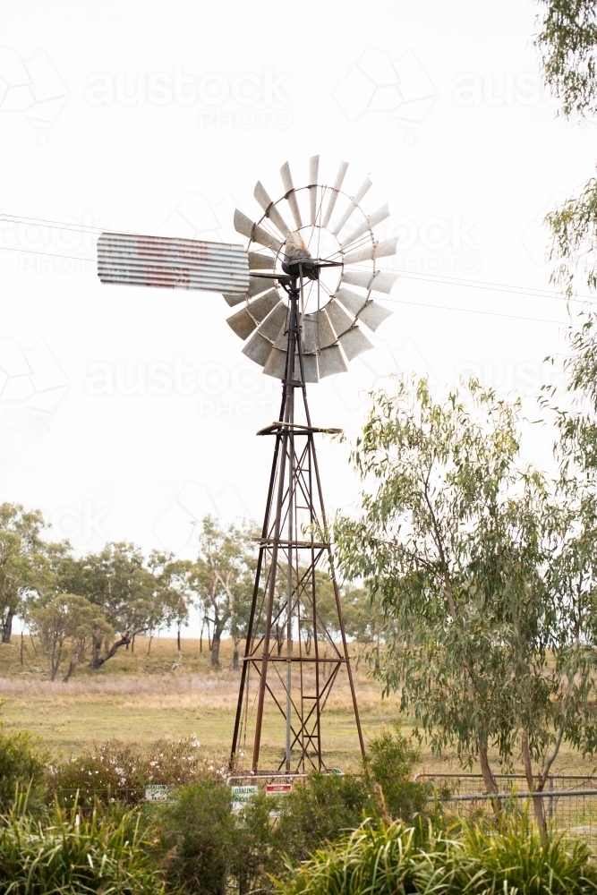 metal windmill in outback queensland - Australian Stock Image