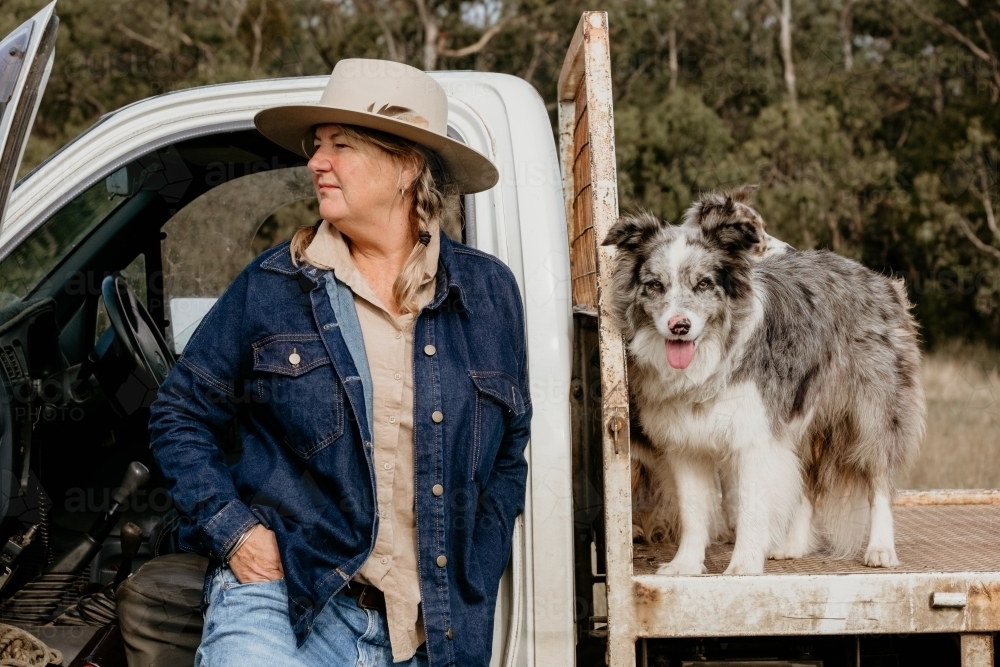 Mid fifties woman looking sideways with farm dogs on ute. - Australian Stock Image