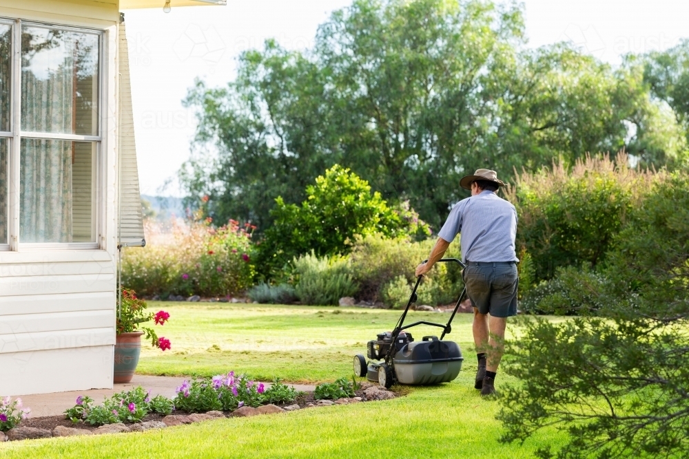 Middle aged australian man pushing lawn mower mowing grass of house front yard - Australian Stock Image