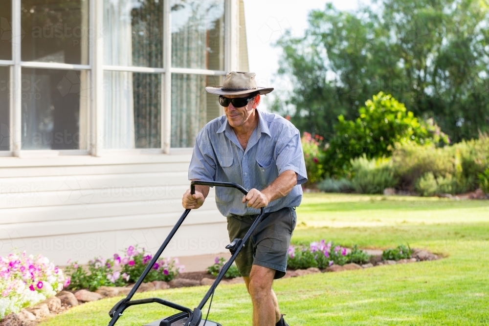 Middle aged australian man pushing lawn mower mowing grass of house front yard - Australian Stock Image