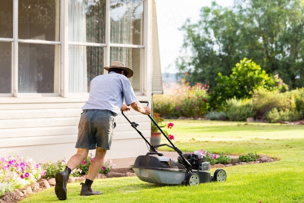 Middle aged australian man pushing lawn mower mowing grass of house front yard - Australian Stock Image