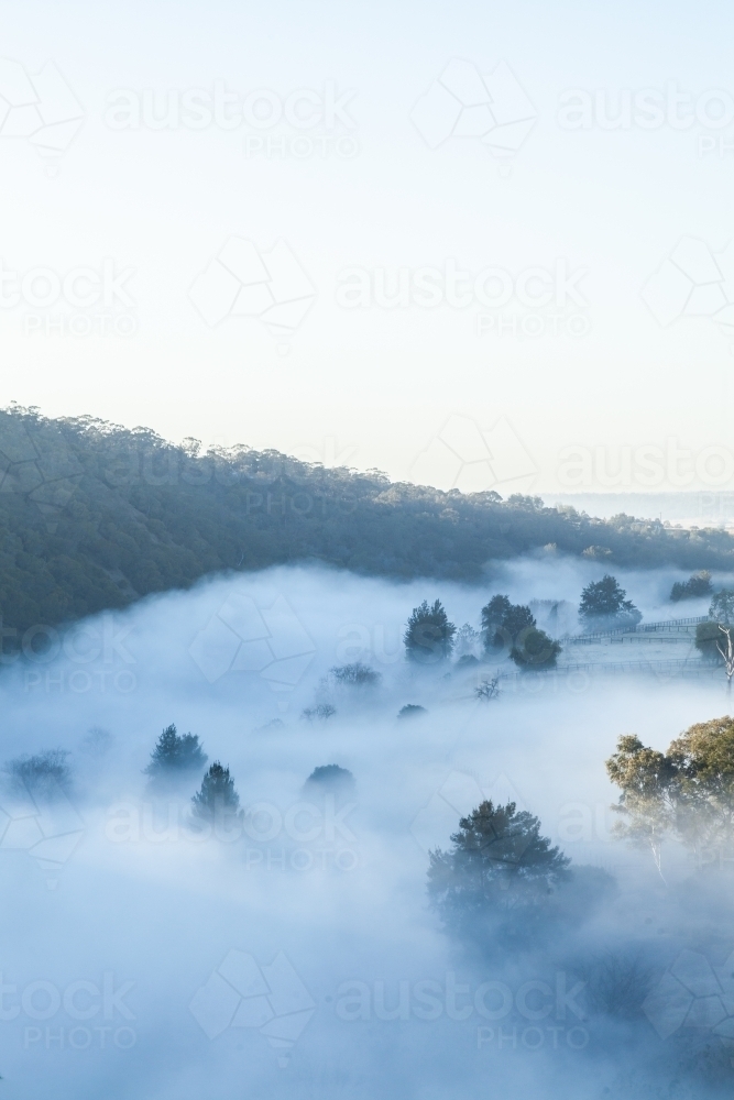 Mist rising off hunter river in early morning with farm paddocks beside - Australian Stock Image