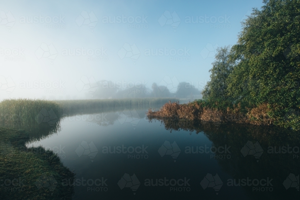 Misty morning beside a river with calm water, reeds and trees - Australian Stock Image