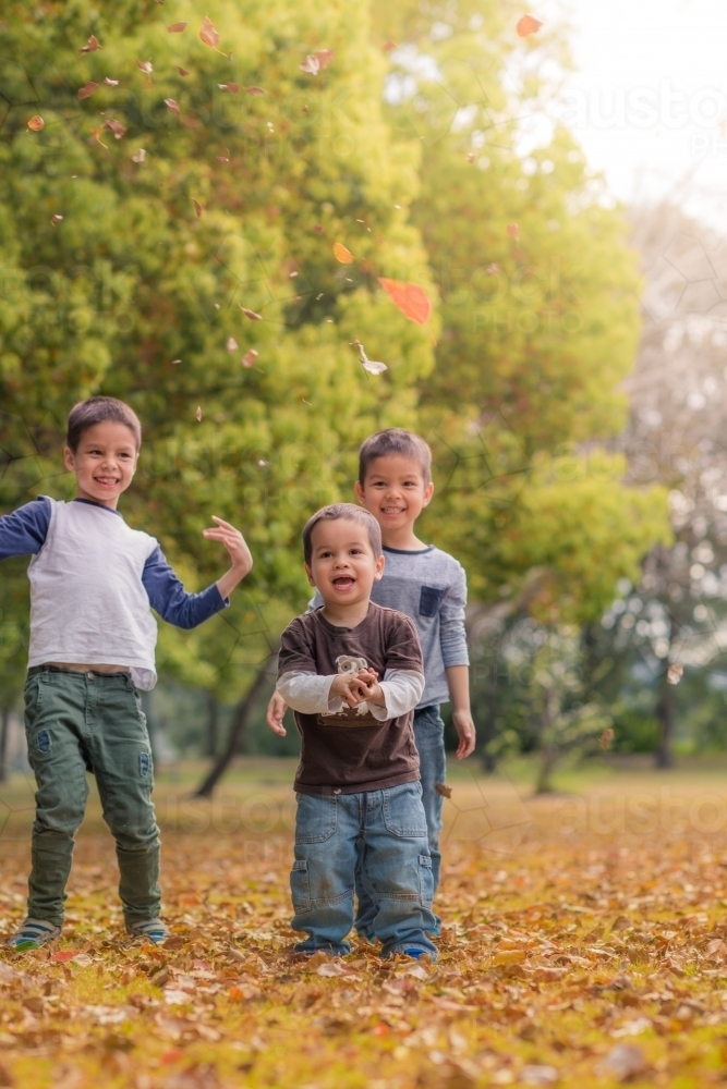 Mixed race boys play in a park with Autumn leaves - Australian Stock Image