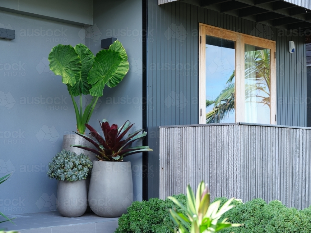 Modern looking window with wood outline and plants - Australian Stock Image