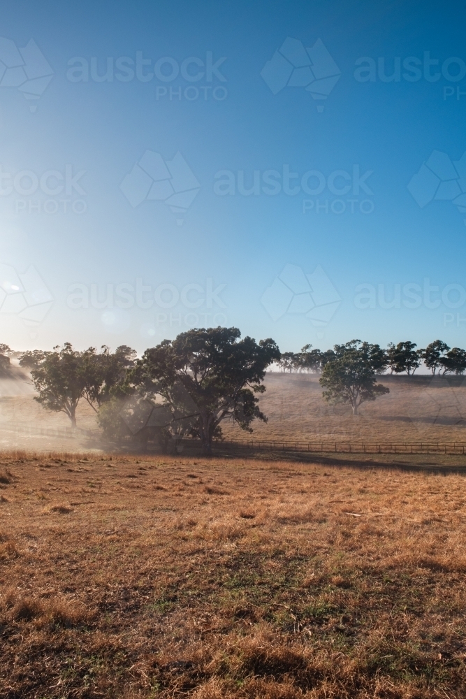 morning rural farm scene - Australian Stock Image