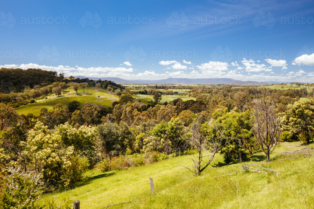 Mount Lofty Circuit Walk in Warrandyte State Park on a hot spring day in Wonga Park, Melbourne, - Australian Stock Image
