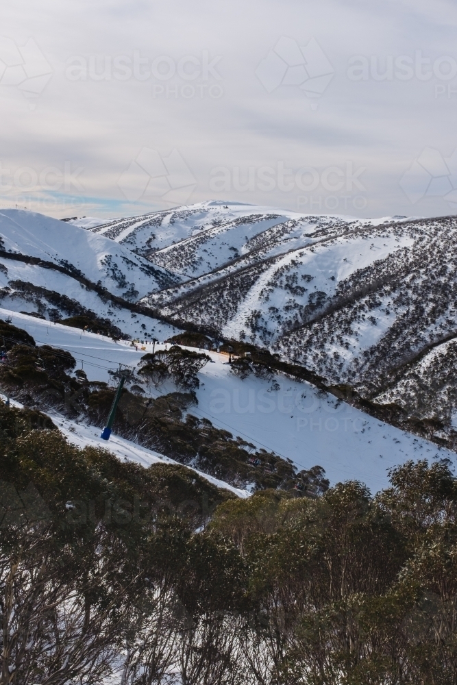 mountain and trees at Mt Hotham in winter - Australian Stock Image