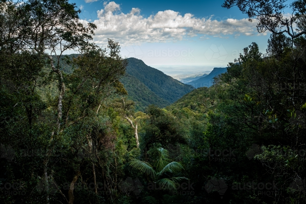 Mountain range view beyond the trees under the cloudy sky. - Australian Stock Image
