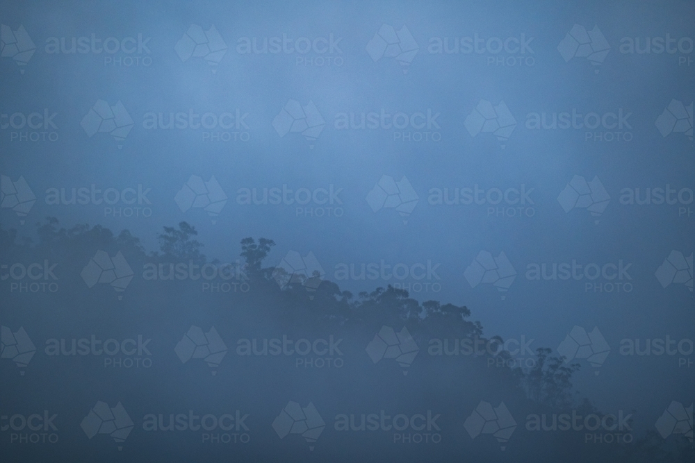 Mountain ridge and trees in foggy weather - Australian Stock Image