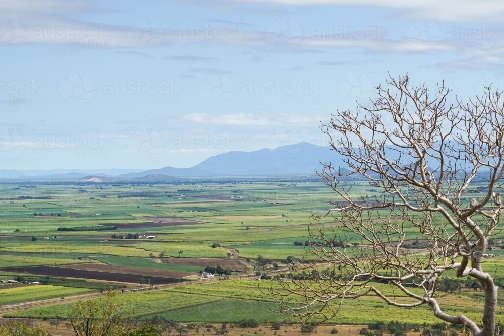 Mountain top view of green pastoral farmland - Australian Stock Image