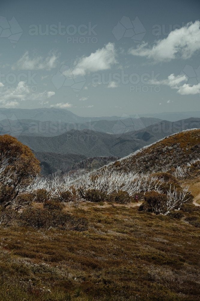 Mountain views at the start of the Razorback Hiking Trailhead to Mount Feathertop. - Australian Stock Image