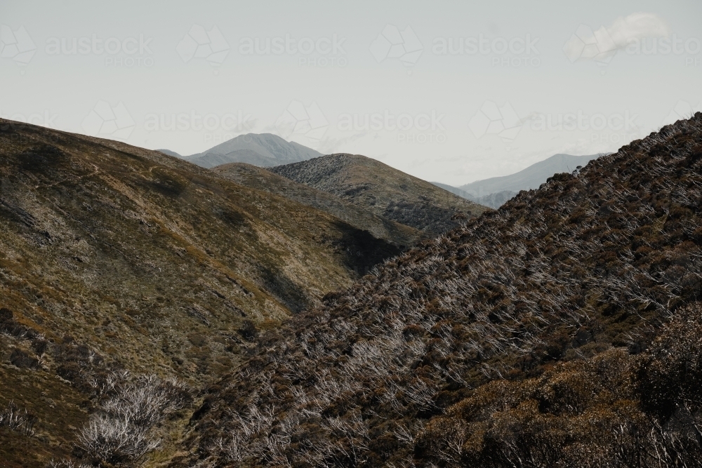 Mountain views at the start of the Razorback Hiking Trailhead to Mount Feathertop. - Australian Stock Image