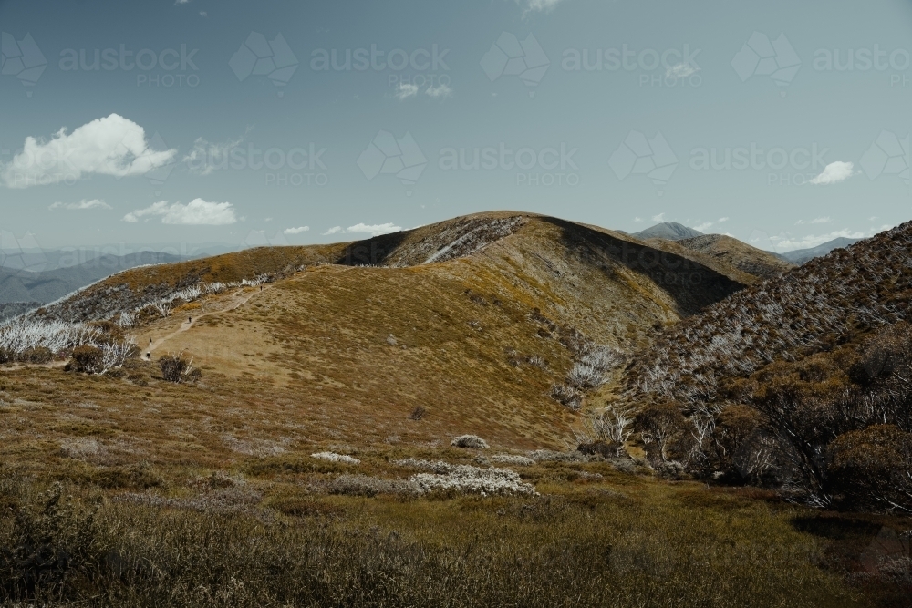 Mountain views at the start of the Razorback Hiking Trailhead to Mount Feathertop. - Australian Stock Image