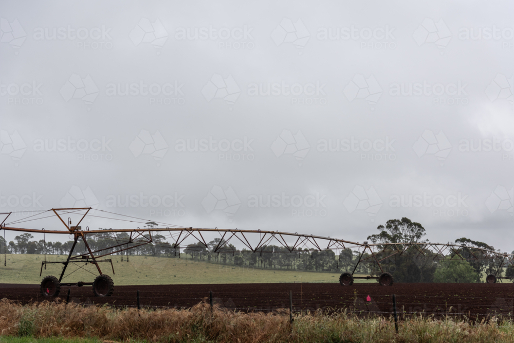 moving sprinkler lines on a rural country crop - Australian Stock Image