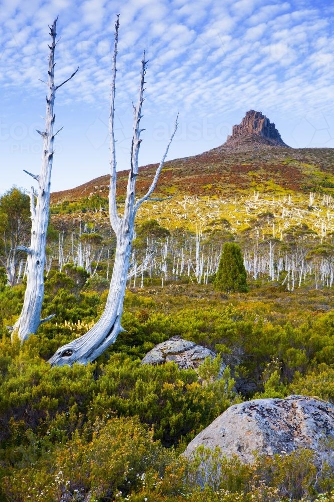 Mt. Pelion East - Australian Stock Image