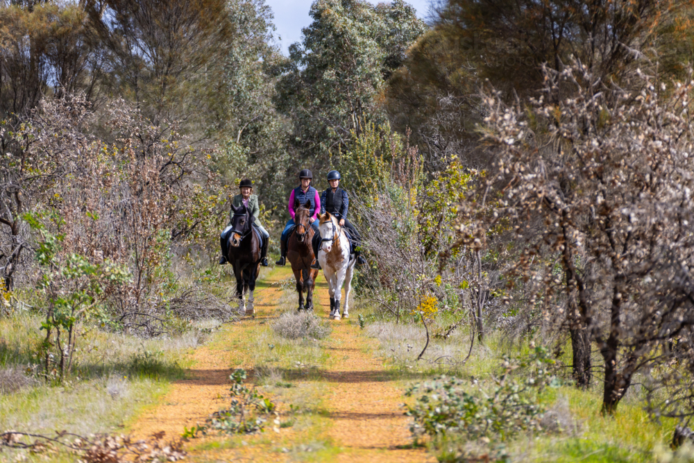 Multi-generation women riding horses along a narrow dirt path. - Australian Stock Image